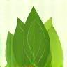 Icône solutions écologiques Verdure Services FR